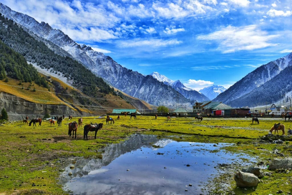 Hidden Places Around the World,
Mountain landscape featuring horses grazing near a water body and grassy area.