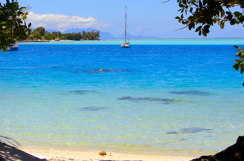 A sailboat floats on vibrant blue tropical water near a sandy beach with palm trees, under a partly cloudy sky. Tree branches frame the scene, set against the distant mountains of one of the prettiest beaches in the world.
