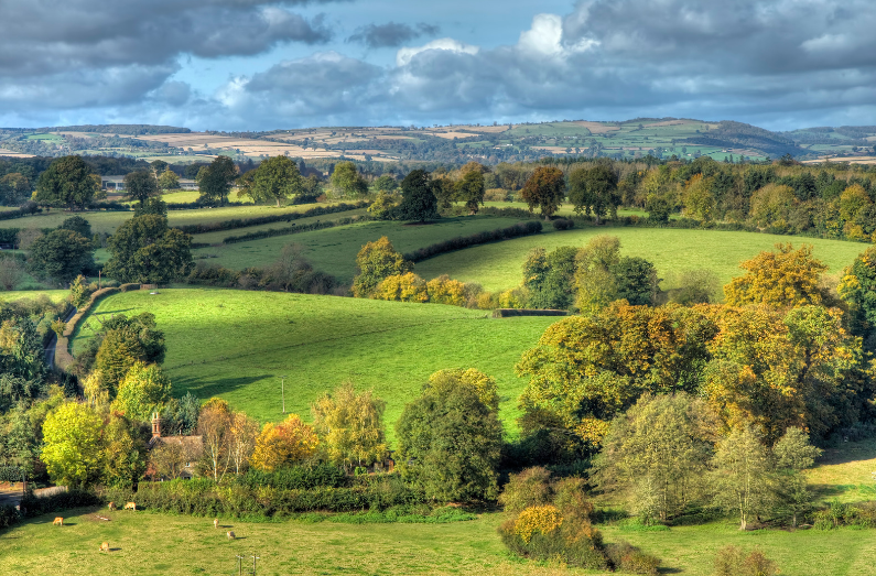 A scenic rural landscape with rolling green hills, scattered trees, hedgerows, and grazing sheep under a partly cloudy sky—one of the hidden gems in England, with distant hills visible on the horizon.