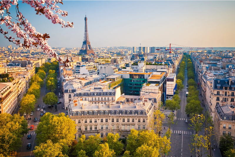 Tourist Attractions in France, Panoramic view of Paris featuring the Eiffel Tower and tree-lined streets during sunset.